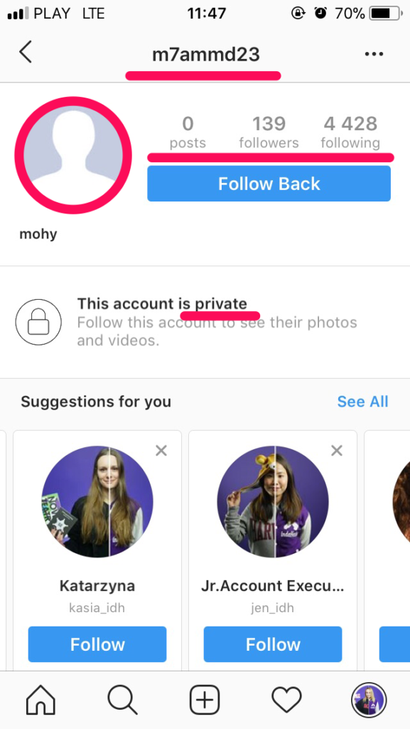 how fake followers accounts might look like